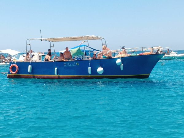 Custom Built 33 | Toti L