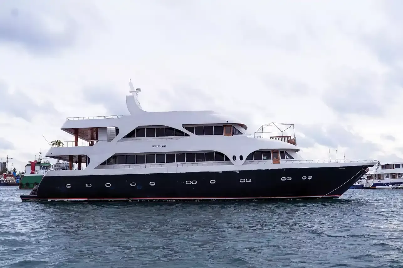 Custom Built 141 | Iruvai