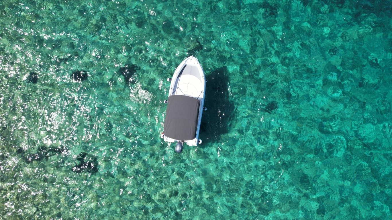 Saver Open 19 | Albatros