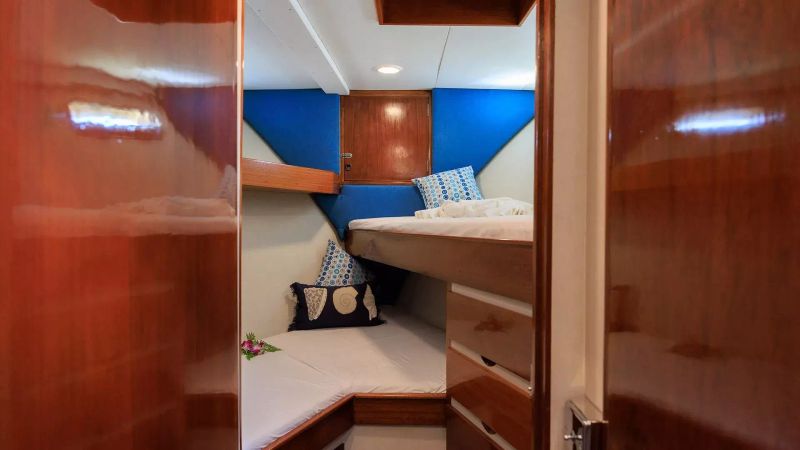 Defever 49 | Sea Princess