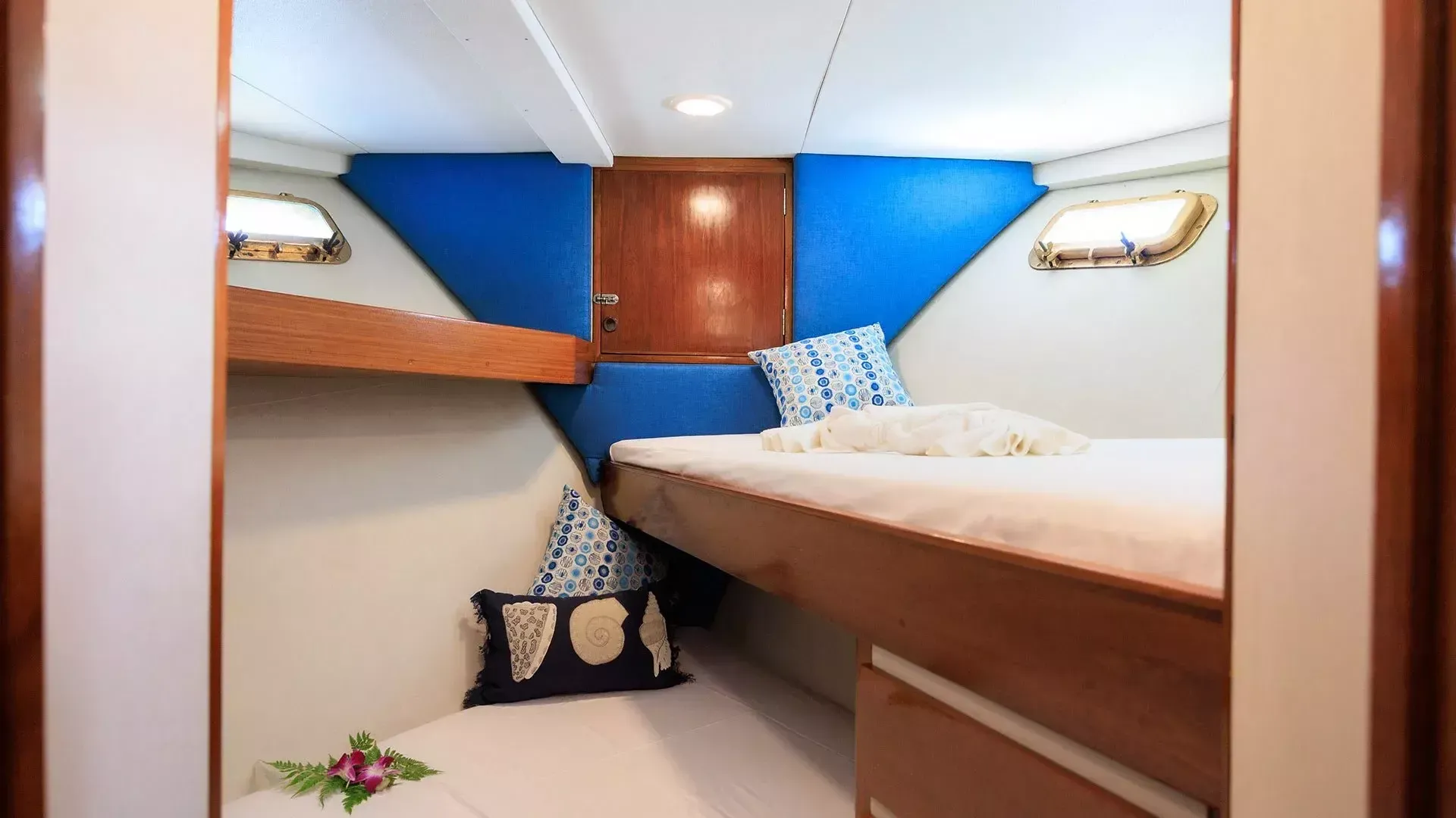 Defever 49 | Sea Princess