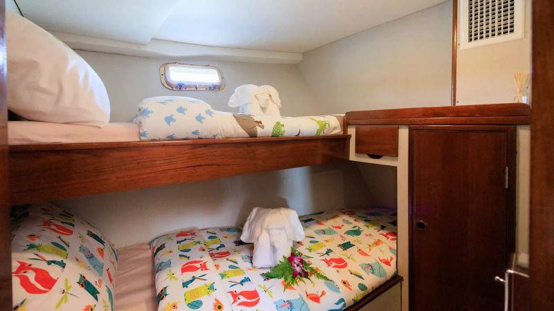 Defever 49 | Sea Princess