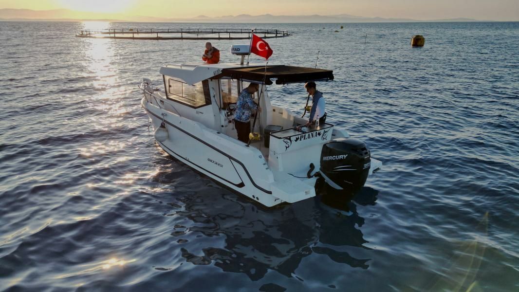 Quicksilver 805 | Plana