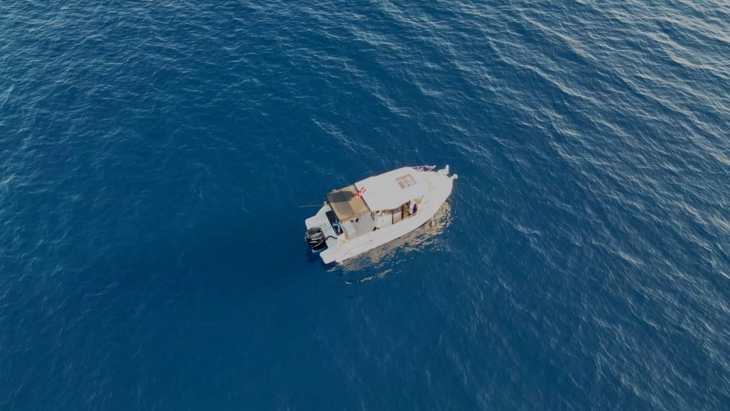 Quicksilver 805 | Plana