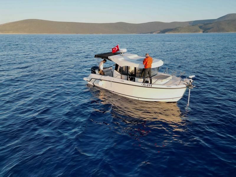 Quicksilver 805 | Plana