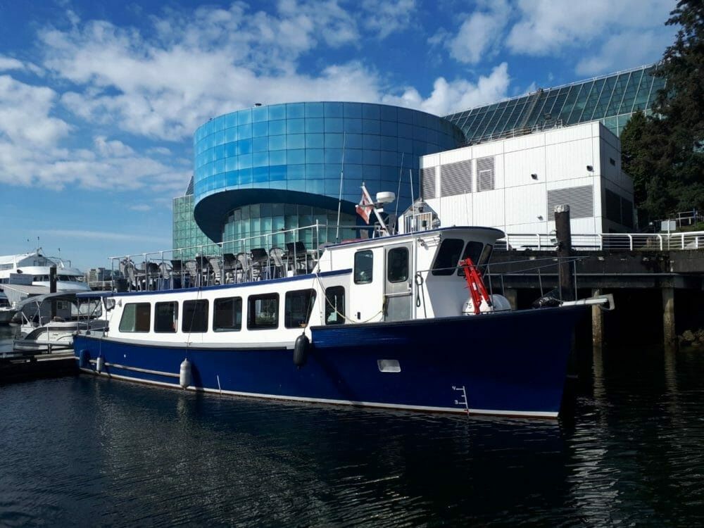 Custom Built 57 | Golden Eagle Egg