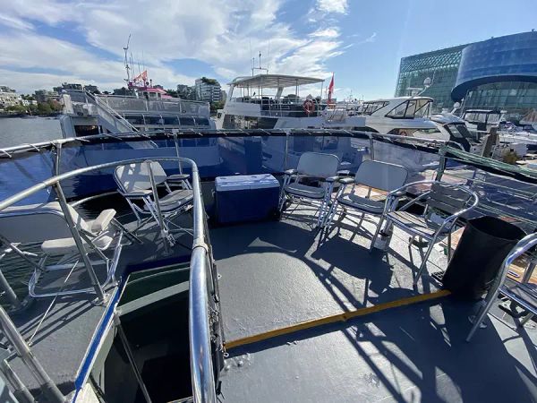 Custom Built 57 | Golden Eagle Egg