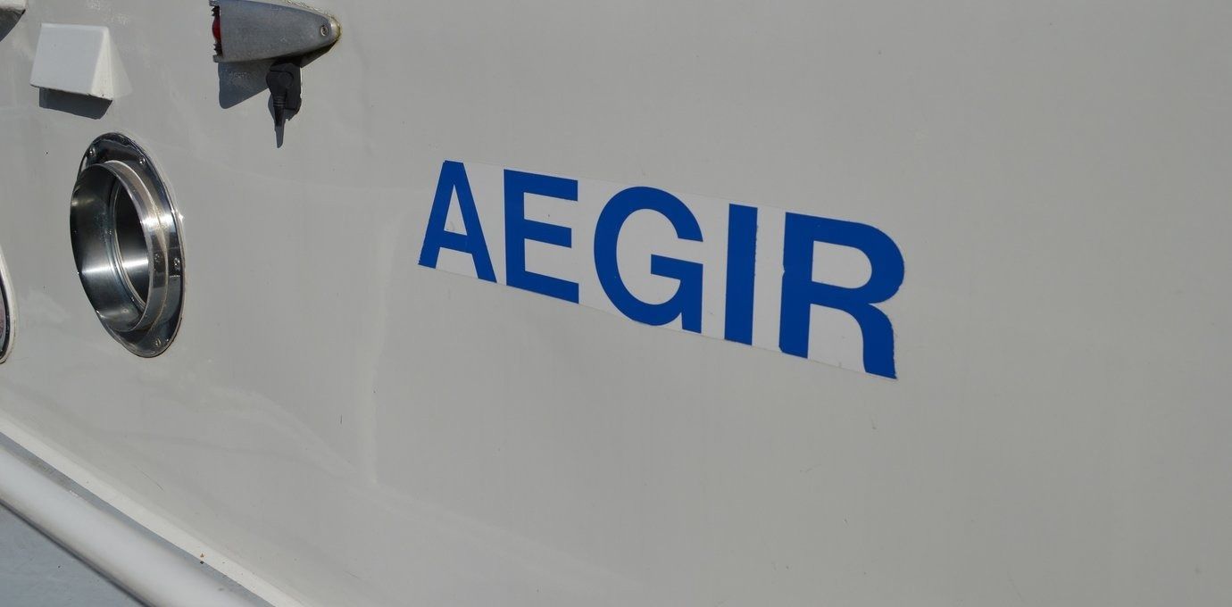 Palan 1100 OK | Aegir