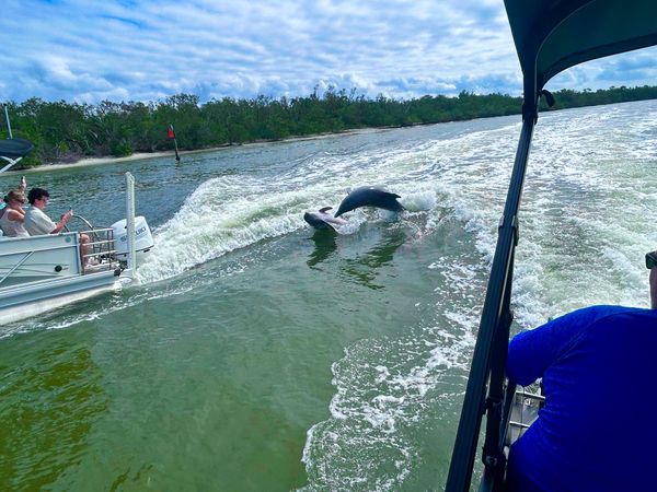 Godfrey Sweetwater 2286 SFL | White Pearl