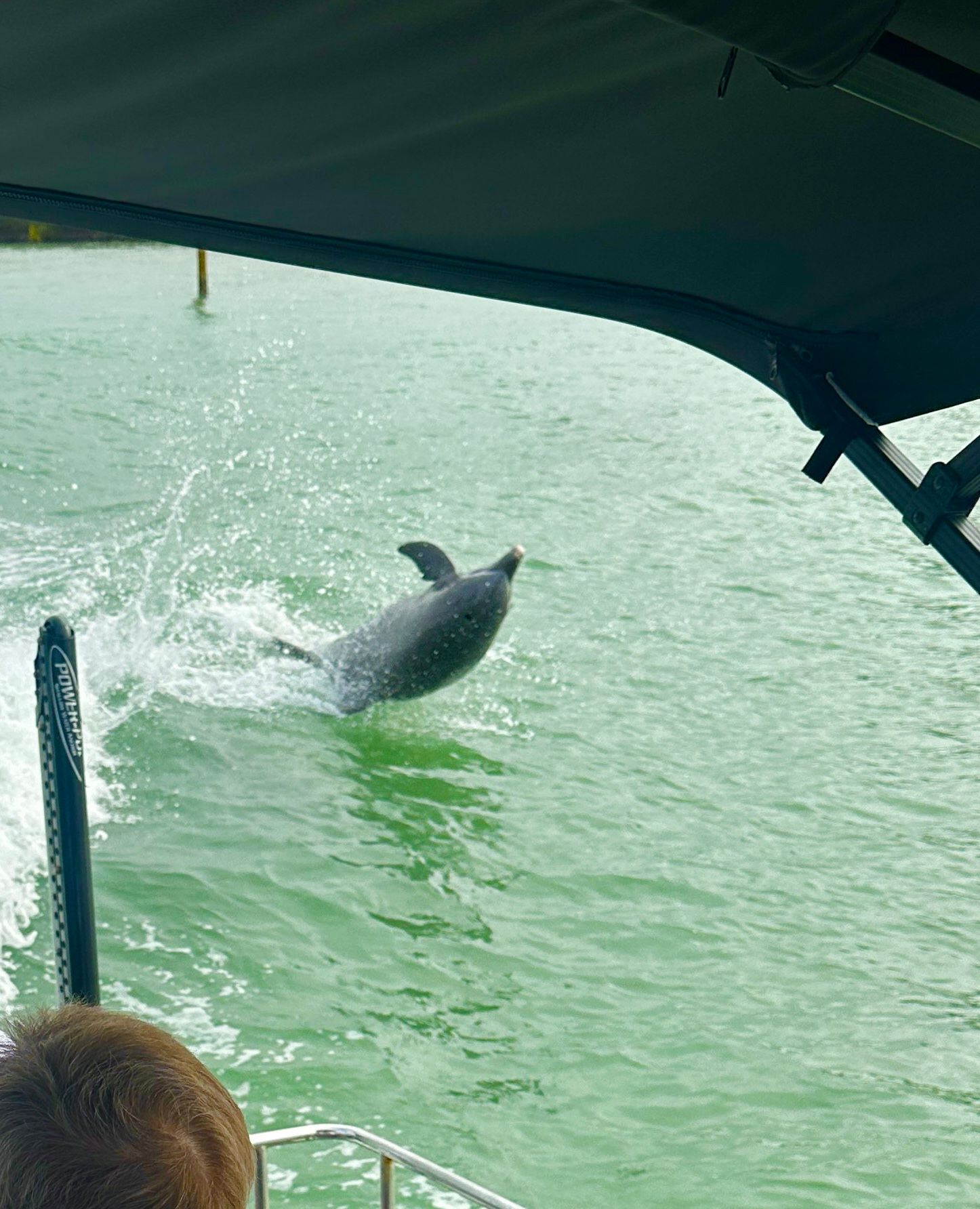 Godfrey Sweetwater 2286 SFL | White Pearl