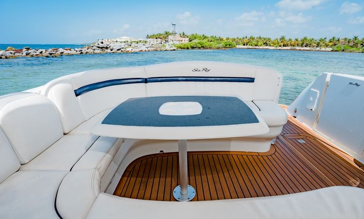 Sea Ray Sundancer 40 | Blue Ray