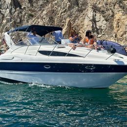 Bayliner 305 | Bee Rich