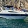 Bayliner 305 | Bee Rich