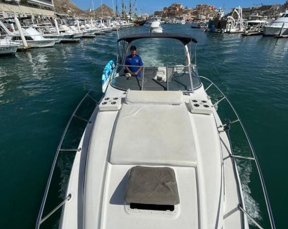 Bayliner 305 | Bee Rich