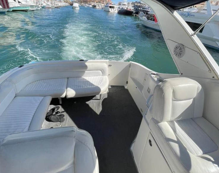 Bayliner 305 | Bee Rich