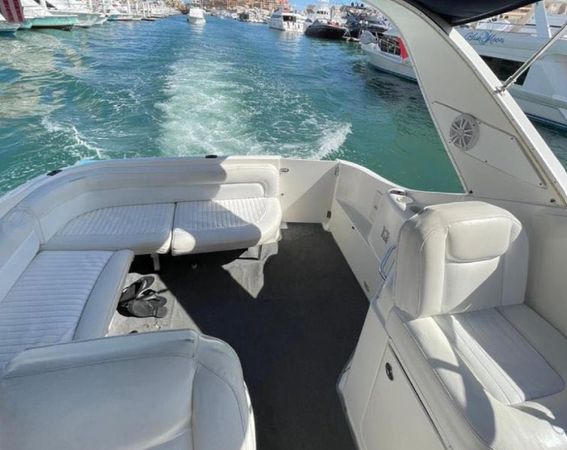 Bayliner 305 | Bee Rich