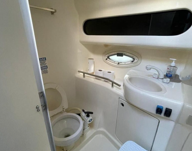 Bayliner 305 | Bee Rich