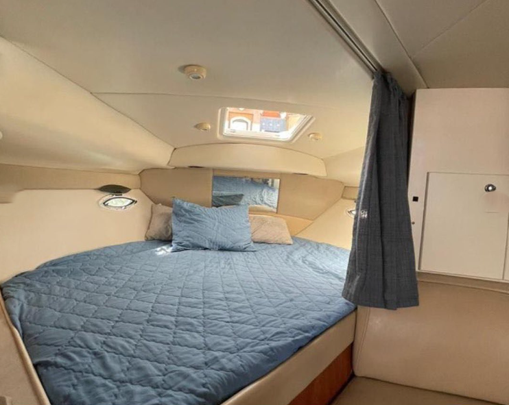 Bayliner 305 | Bee Rich