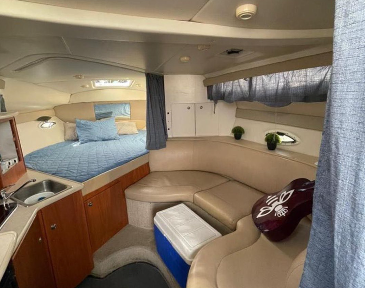 Bayliner 305 | Bee Rich