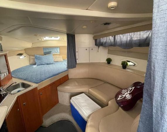 Bayliner 305 | Bee Rich
