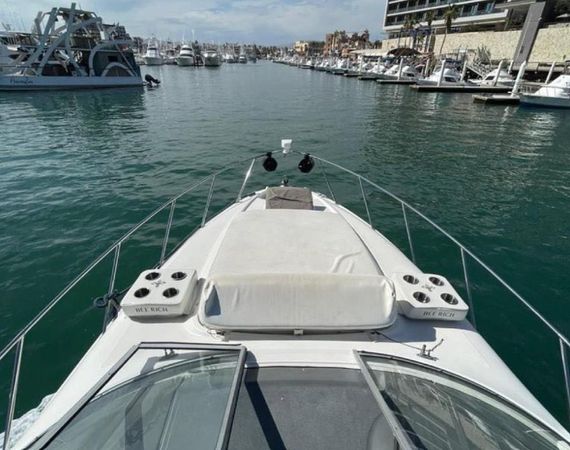 Bayliner 305 | Bee Rich