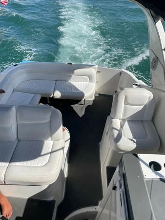 Bayliner 305 | Bee Rich