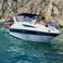 Bayliner 305 | Bee Rich