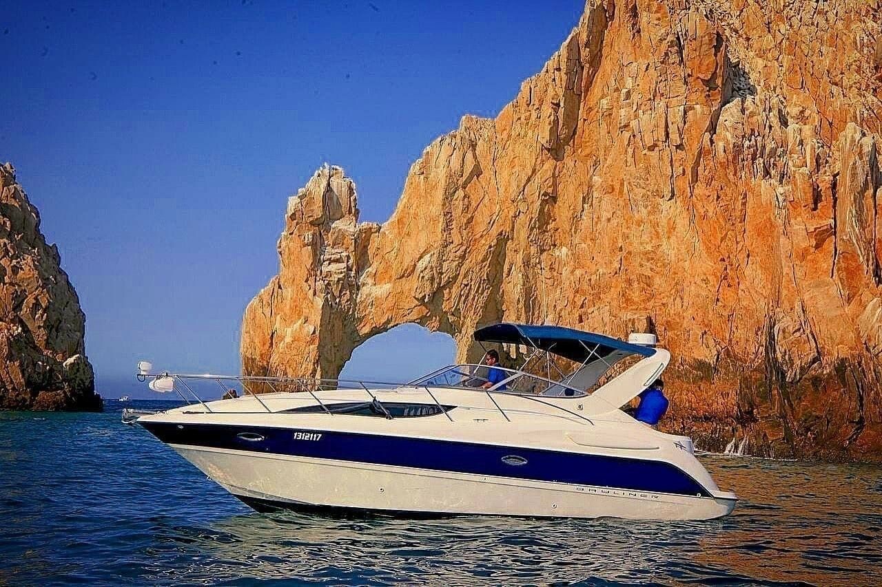 Bayliner 305 | Bee Rich