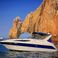 Bayliner 305 | Bee Rich