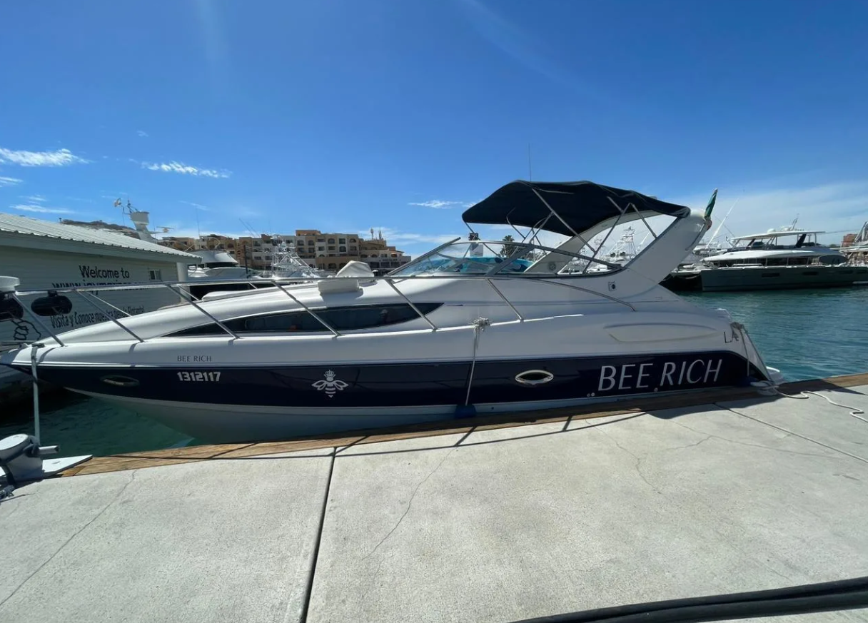 Bayliner 305 | Bee Rich