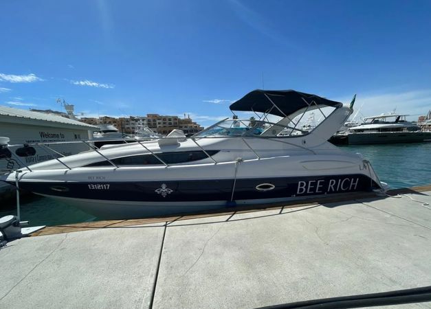 Bayliner 305 | Bee Rich