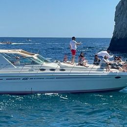 Sea Ray 400 | Cheers 1