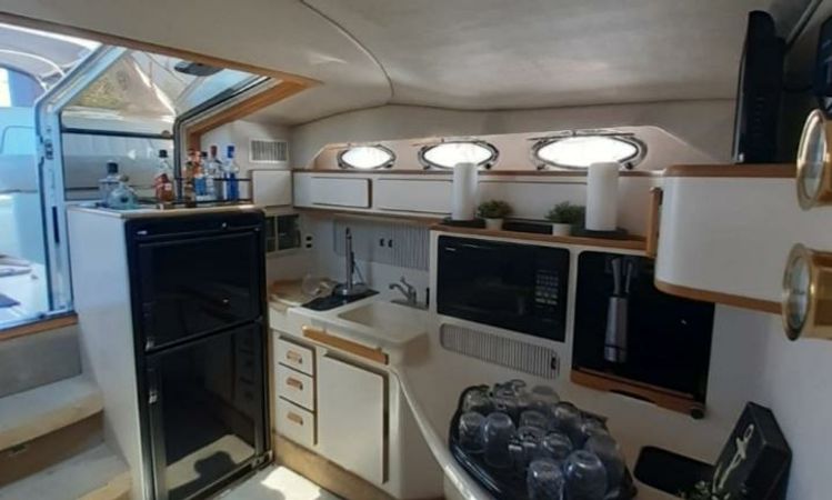 Sea Ray 400 | Cheers 1