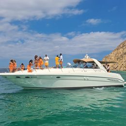 Sea Ray 50 | Cheers 2
