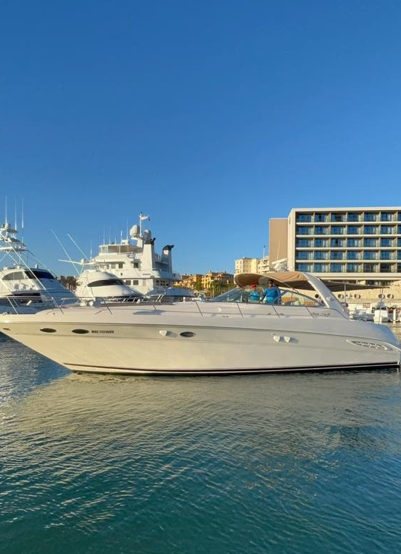 Sea Ray 50 | Cheers 2