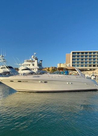 Sea Ray 50 | Cheers 2