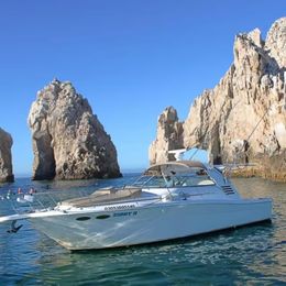 Sea Ray 330 | Ziggy 2