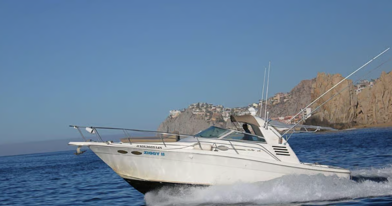 Sea Ray 330 | Ziggy 2