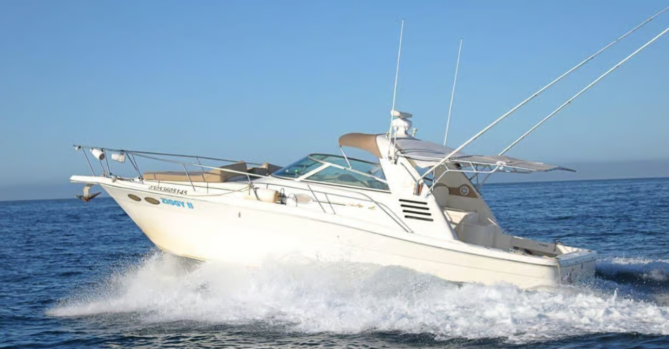 Sea Ray 330 | Ziggy 2
