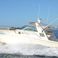 Sea Ray 330 | Ziggy 2