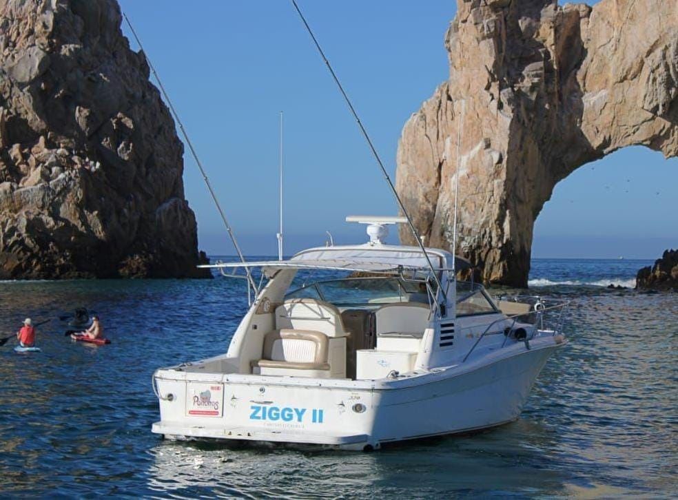 Sea Ray 330 | Ziggy 2