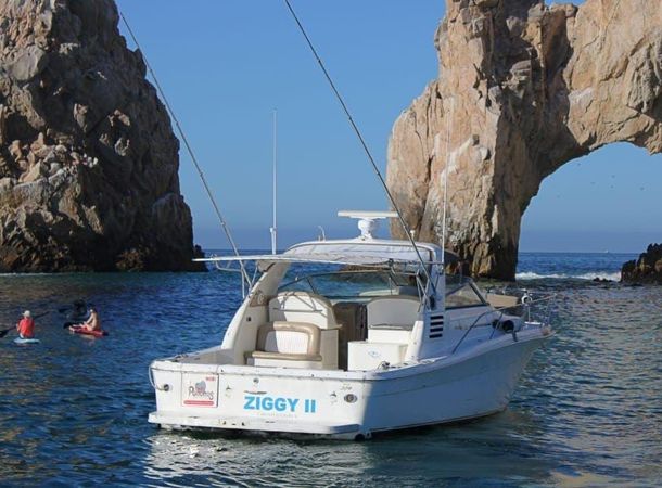 Sea Ray 330 | Ziggy 2