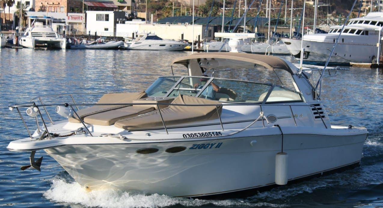 Sea Ray 330 | Ziggy 2