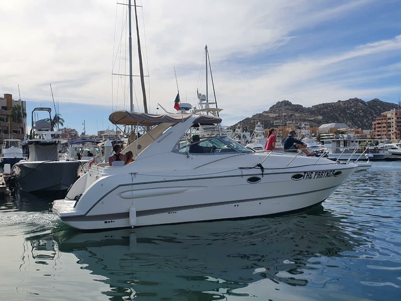 Maxum 3300 | The Partner