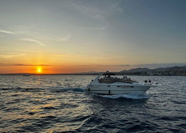 Maxum 3300 | The Partner