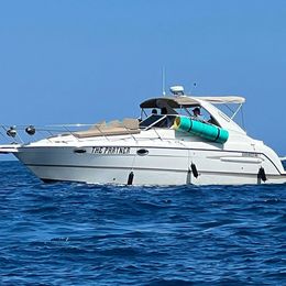 Maxum 3300 | The Partner