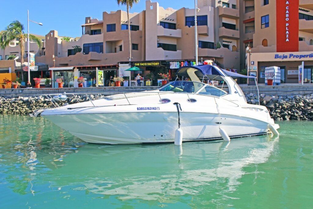 Sea Ray Sundancer 320 | La Morrita 1