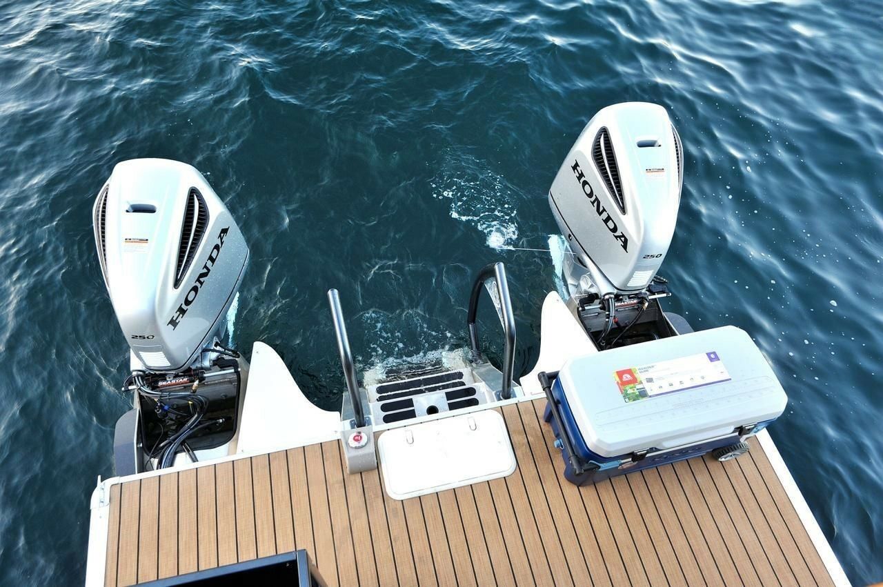 Premier 330 Escalante | Black Sheep