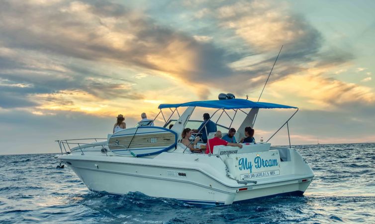 Sea Ray 330 | My Dream