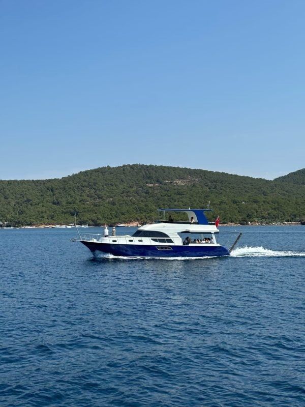 Custom Built 52 | Alesta